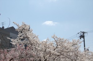 DSC_1520_R