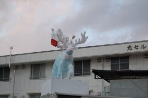 DSC_8896_R