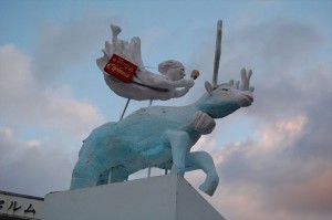 DSC_8899_R