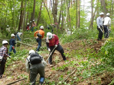 八十二の森活動中