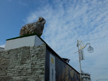 obon-1