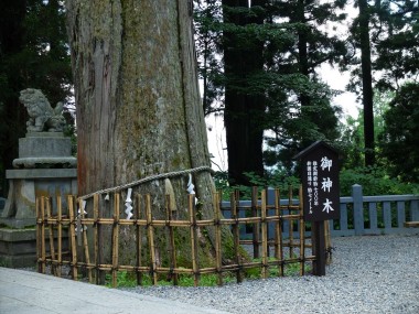 togakusi-2